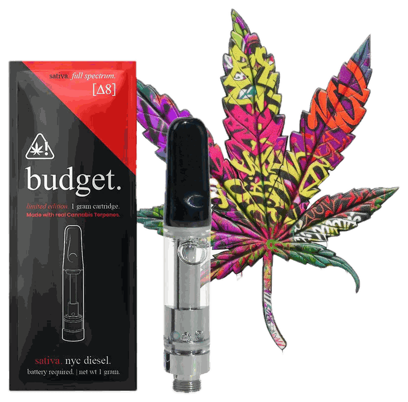 Budget