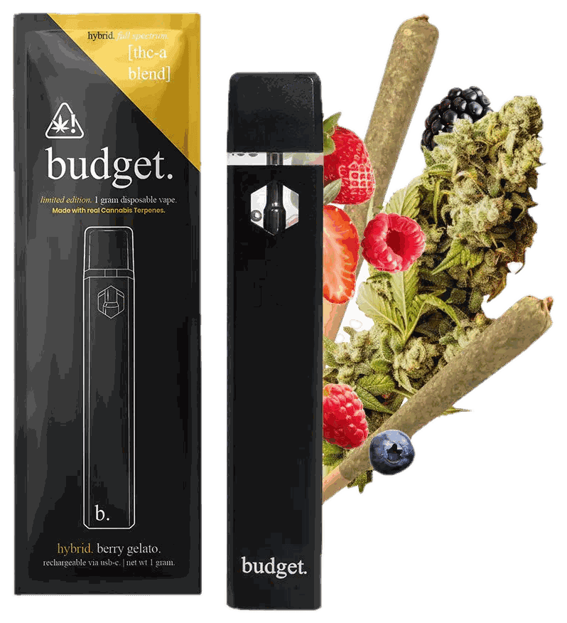 Budget Disposable 1g